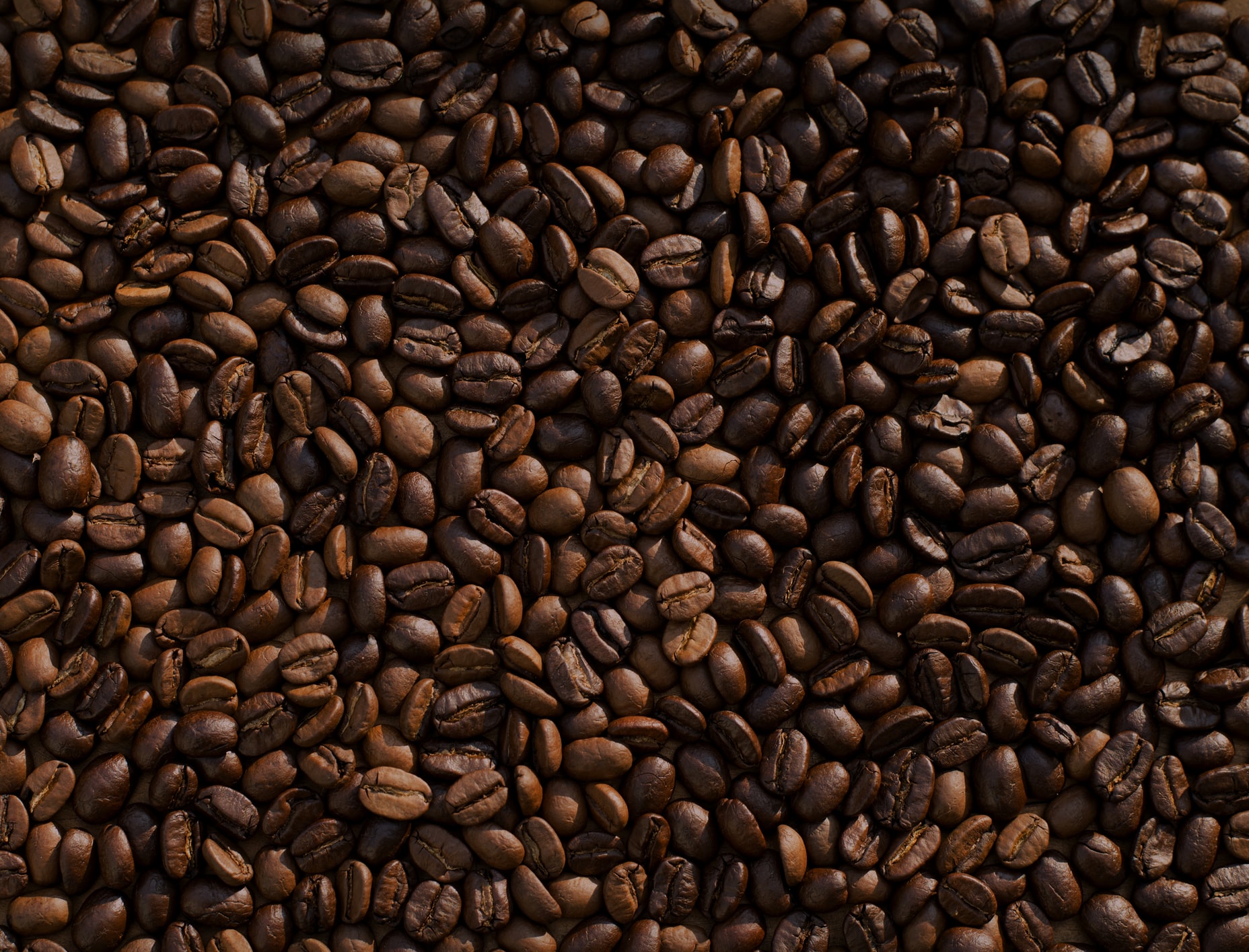 Residuos del café
