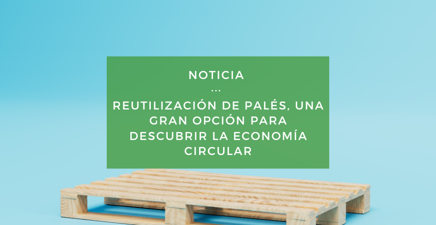 Reutilización de palés, una gran opción para descubrir la economía circular